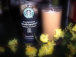 Starbucks DoubleShot review image